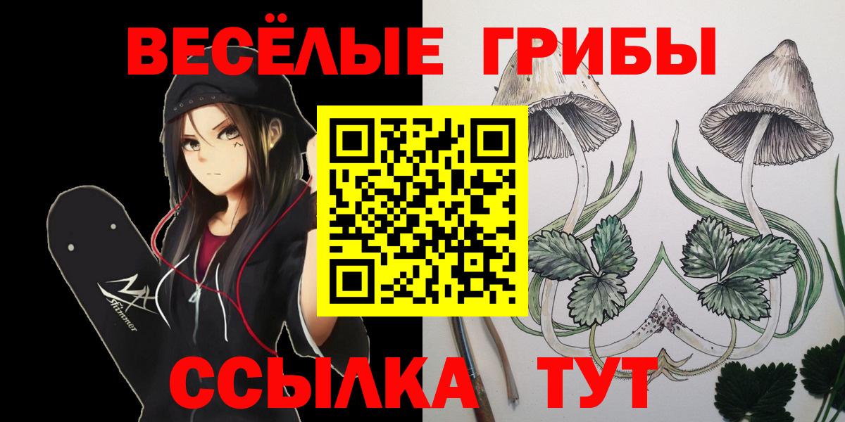 Канаш  Галлюциногенные грибы Psilocybine cubensis  Вход с VPN  Псилоцибиновые грибы Cubensis 