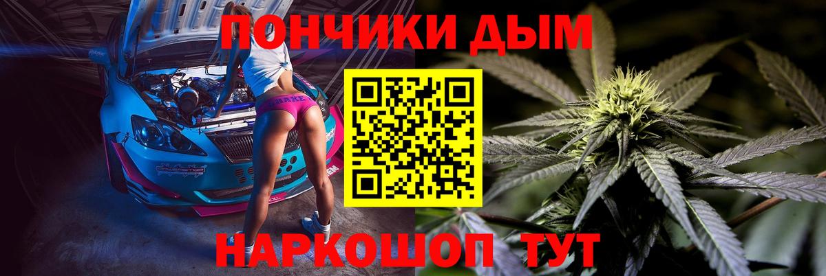 Бошки Шишки план Канаш